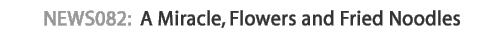 news082 : A Miracle, Flowers and Fried Noodles