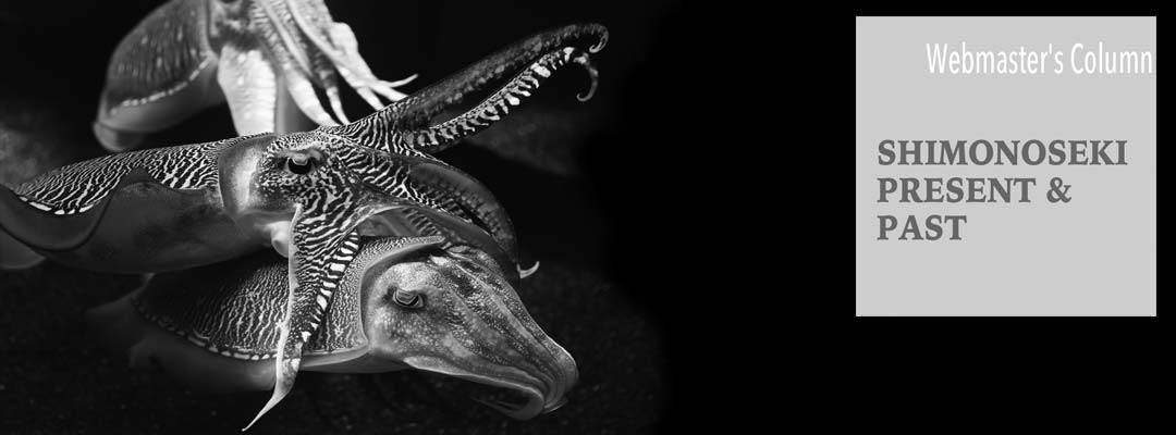 Cuttlefish Photo by David IIiff