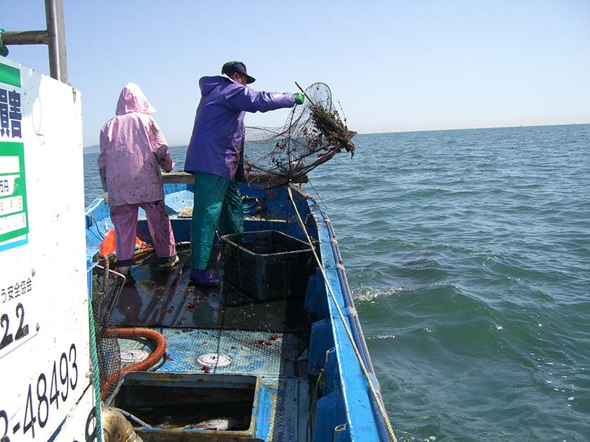 Fisherpersons at Work