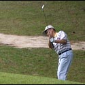 Nice (Bunker?) Shot !