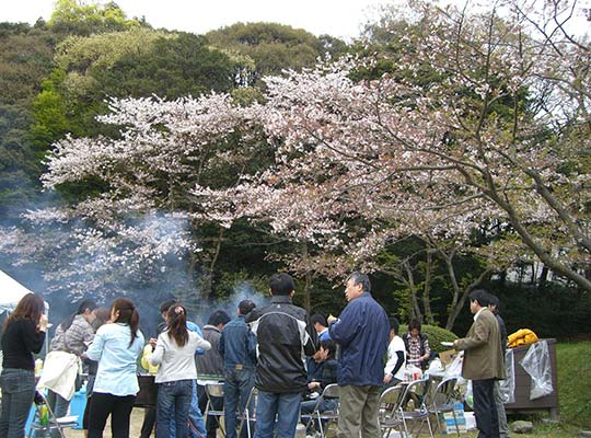 2010 Hanami Party - Kyokuyo Shipyard