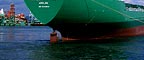 ��ʉݕ��D Arklow Willow �o�`
